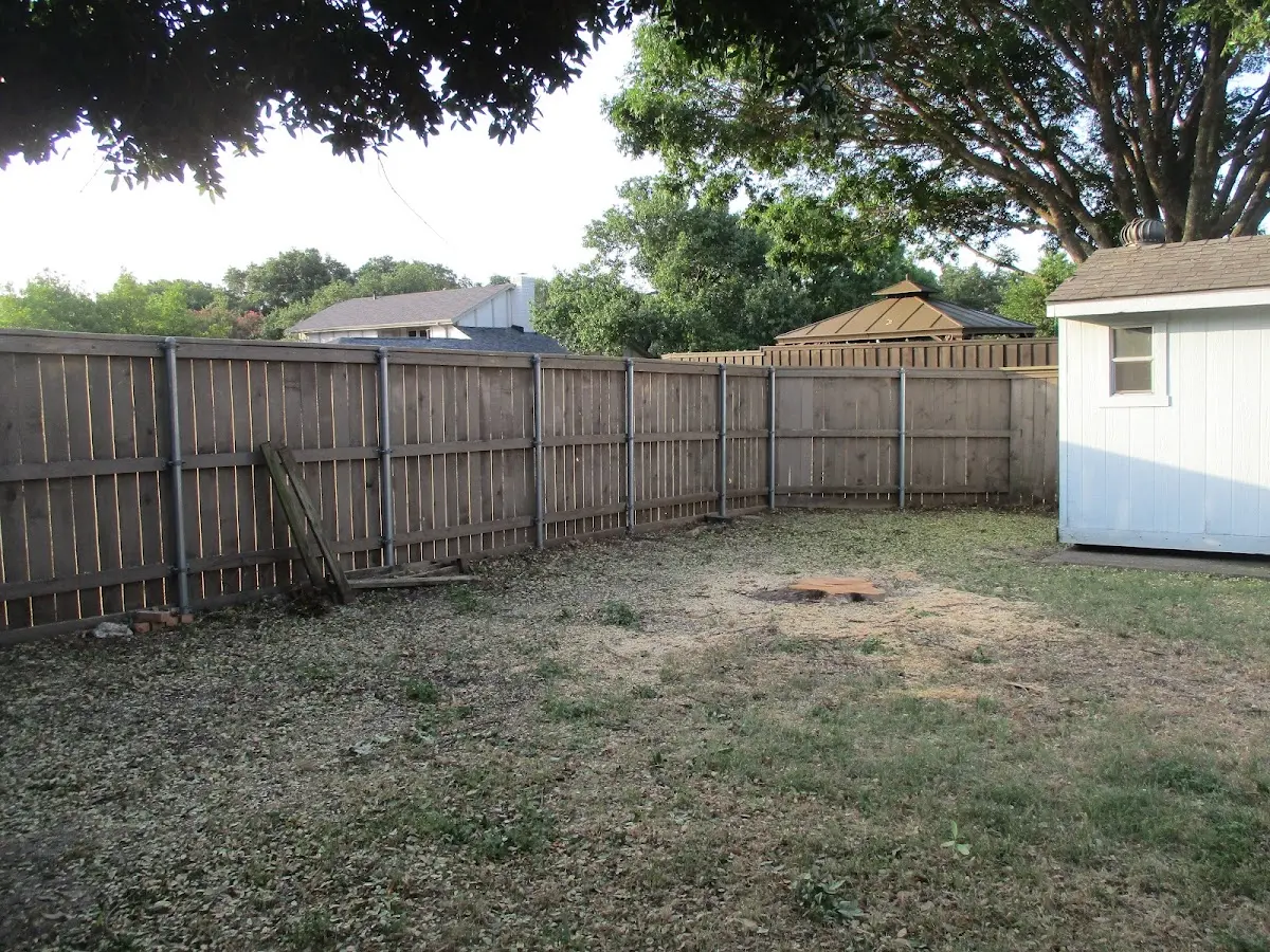 Cleared yard after professional tree removal in Robinson